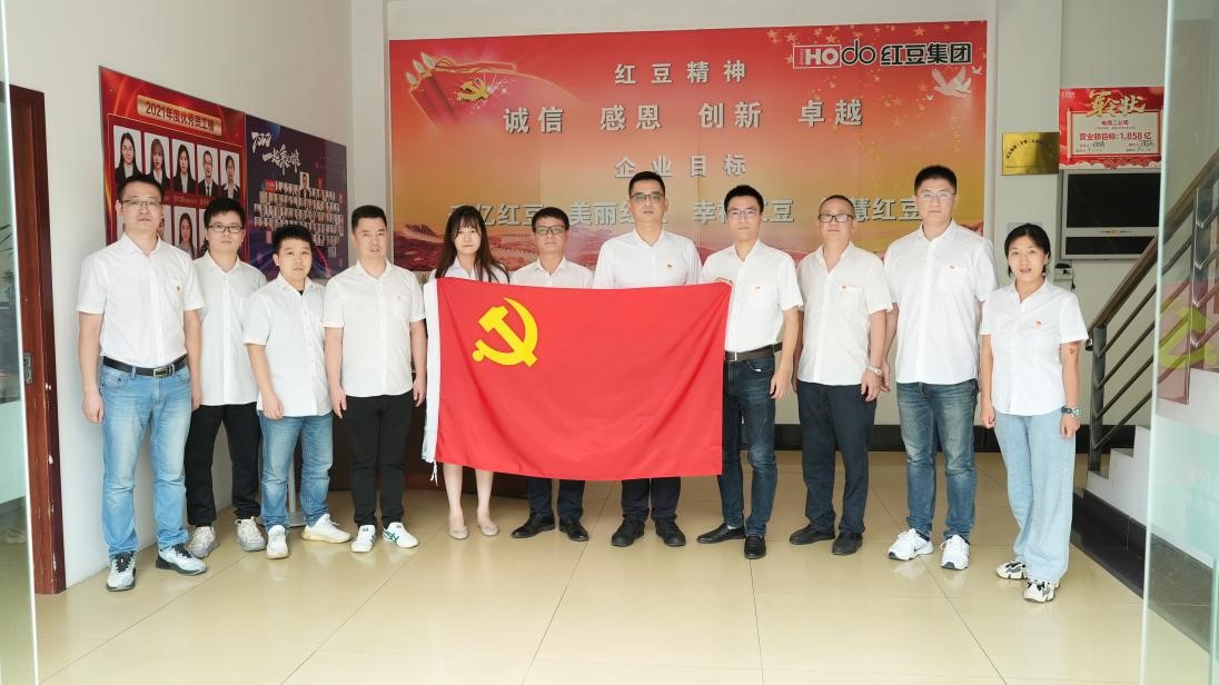 九游会J9居家公司电子商务二公司党支部1